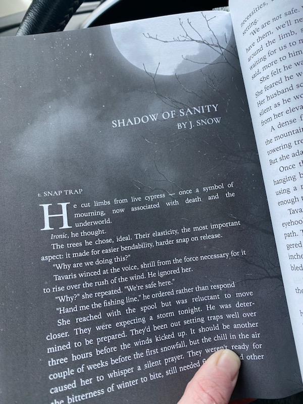 Stoked about this TOC 🖤

SHADOW OF SANITY 
Facing a trial for multiple murders, guilt becomes a question of sanity or survival

#horrorstories #b #shorror #horrorreads #horrorjunkie #halloween #DeathValley #IMHERE #Seized #bookstagram #Readers #booksale

a.co/9w5gEde