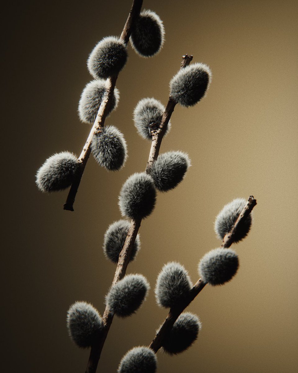 weekend lighting practice. Yes, the wood is 3D scanned :)
#houdini #octanerender