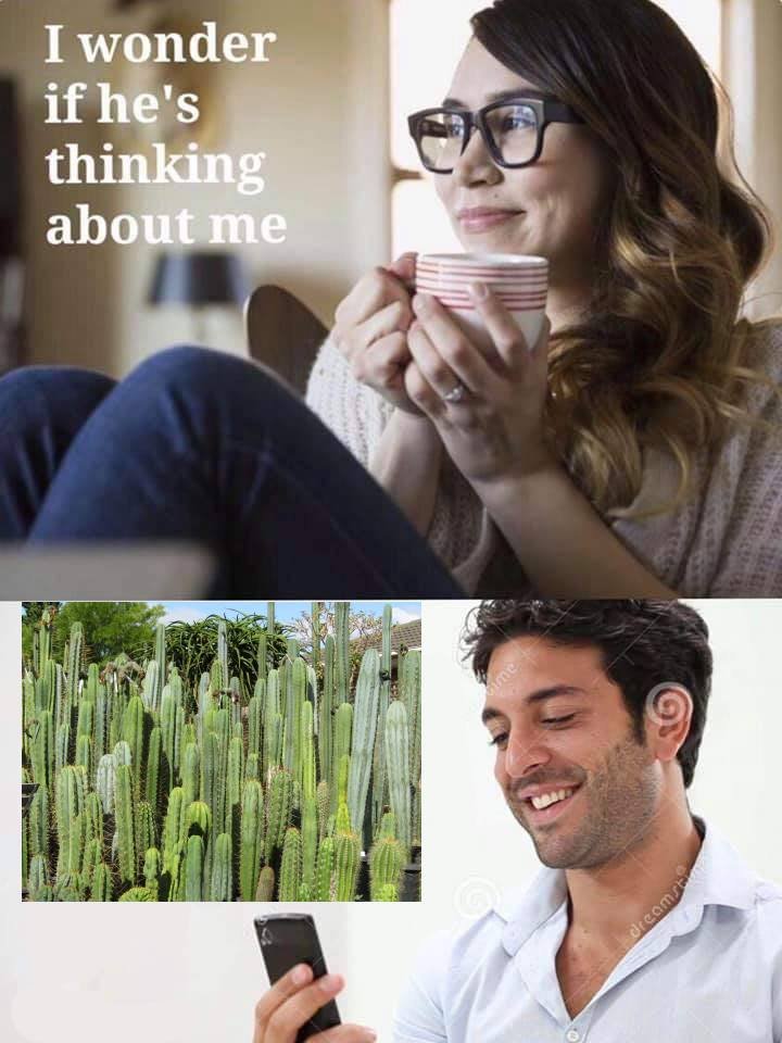 KadenaKacti tweet media