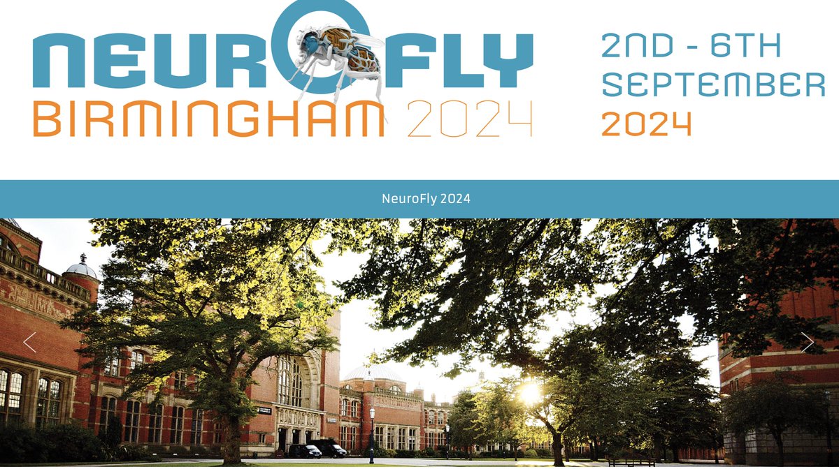 neurofly2024's tweet image. 
