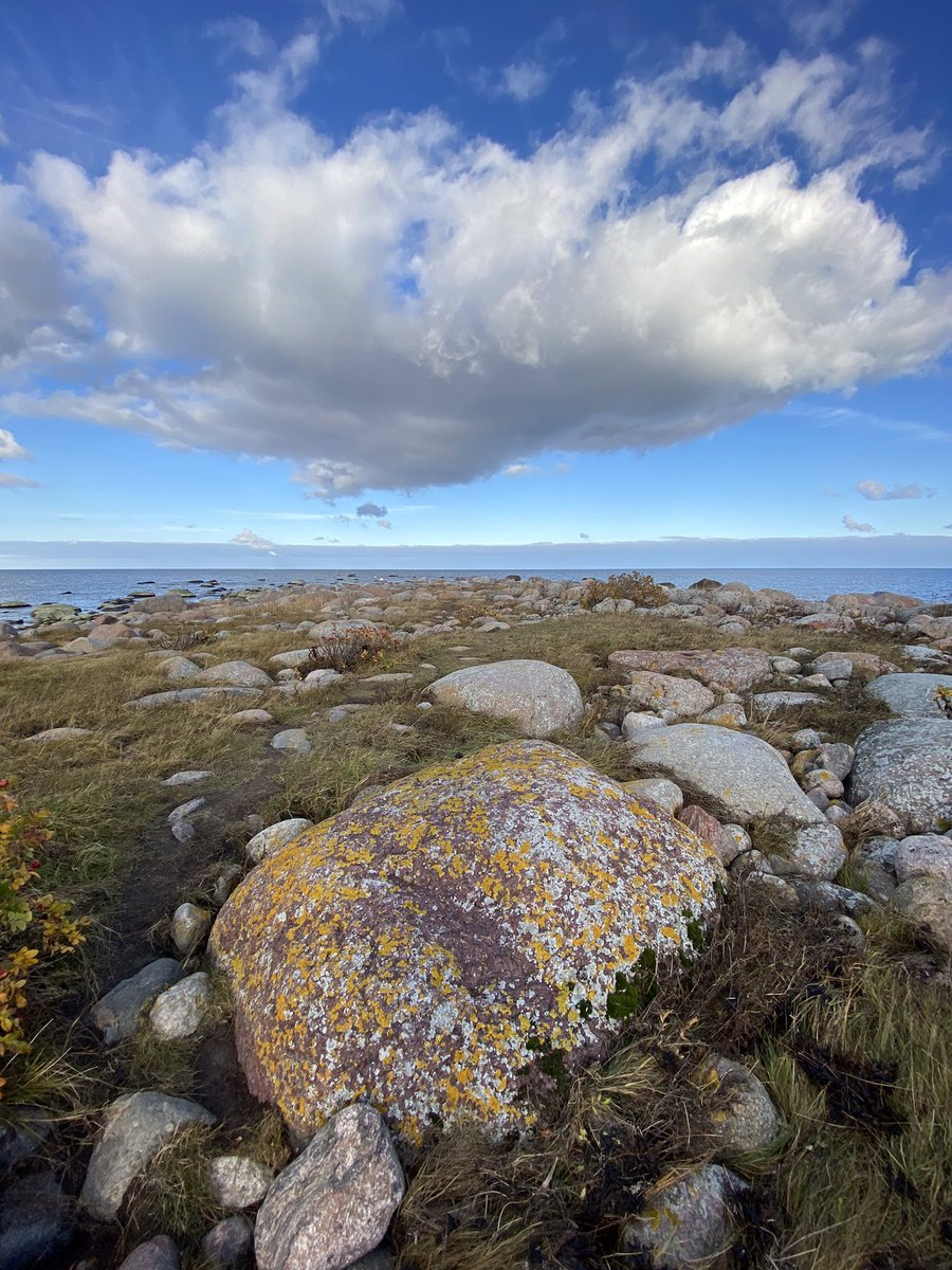 RaMurmoka's tweet photo. Another lovely day for local explorations. This time it's the northernmost point of mainland #Estonia, #Purekkari cape. Rock hopping and balancing skills an advantage #outdoorfun #exploringEstonia https://t.co/5ViSk1mkI3