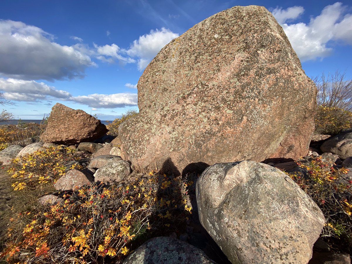 RaMurmoka's tweet photo. Another lovely day for local explorations. This time it's the northernmost point of mainland #Estonia, #Purekkari cape. Rock hopping and balancing skills an advantage #outdoorfun #exploringEstonia https://t.co/5ViSk1mkI3
