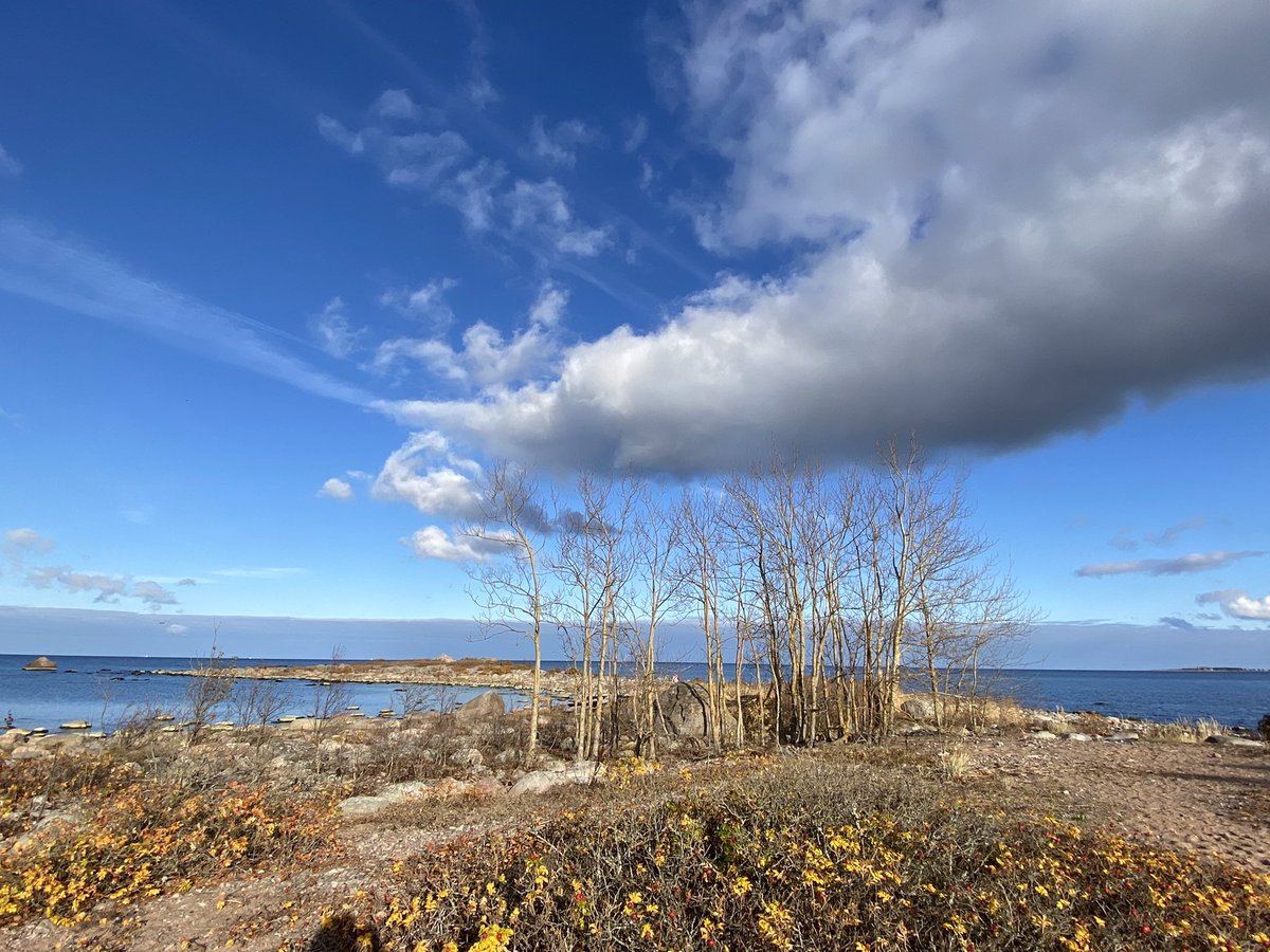 RaMurmoka's tweet photo. Another lovely day for local explorations. This time it's the northernmost point of mainland #Estonia, #Purekkari cape. Rock hopping and balancing skills an advantage #outdoorfun #exploringEstonia https://t.co/5ViSk1mkI3
