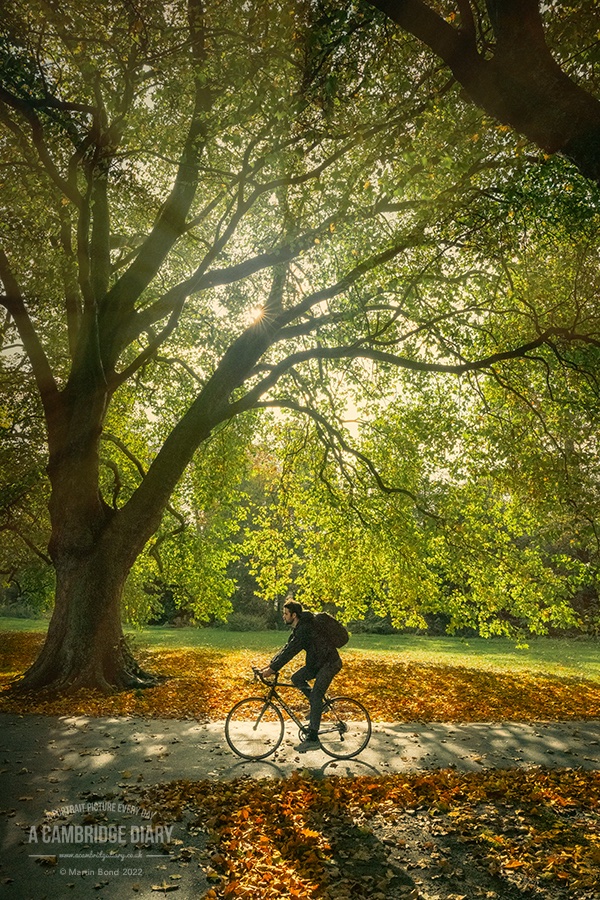 A Cambridge Diary On Twitter A Picture Of Cambridge Every Day Since a-cambridge-diary-on-twitter-a-picture-of-cambridge-every-day-since