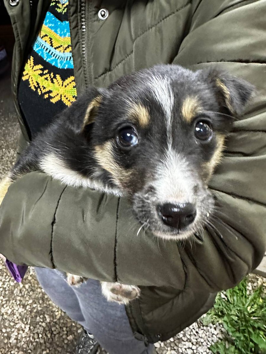 Марья tweet media