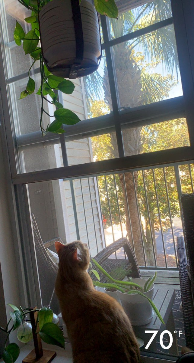 AnnaaaSnyder's tweet photo. We love a good lazy afternoon https://t.co/WeDwwDDAnZ