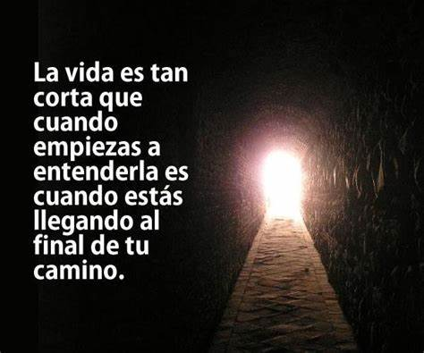 Infinitygroup9's tweet image. 🤔 INTERESANTE PENSAMIENTO
#VIDA  #HAKUNAMATATA #LIVE #Viviresincreible  #vidadigital #COSTARICA #PuraVidaEnAuNz23 #SomosLaDiferencia #latinosdelmundo #sinsalida #pensamientos #guanacaste #centroamerica