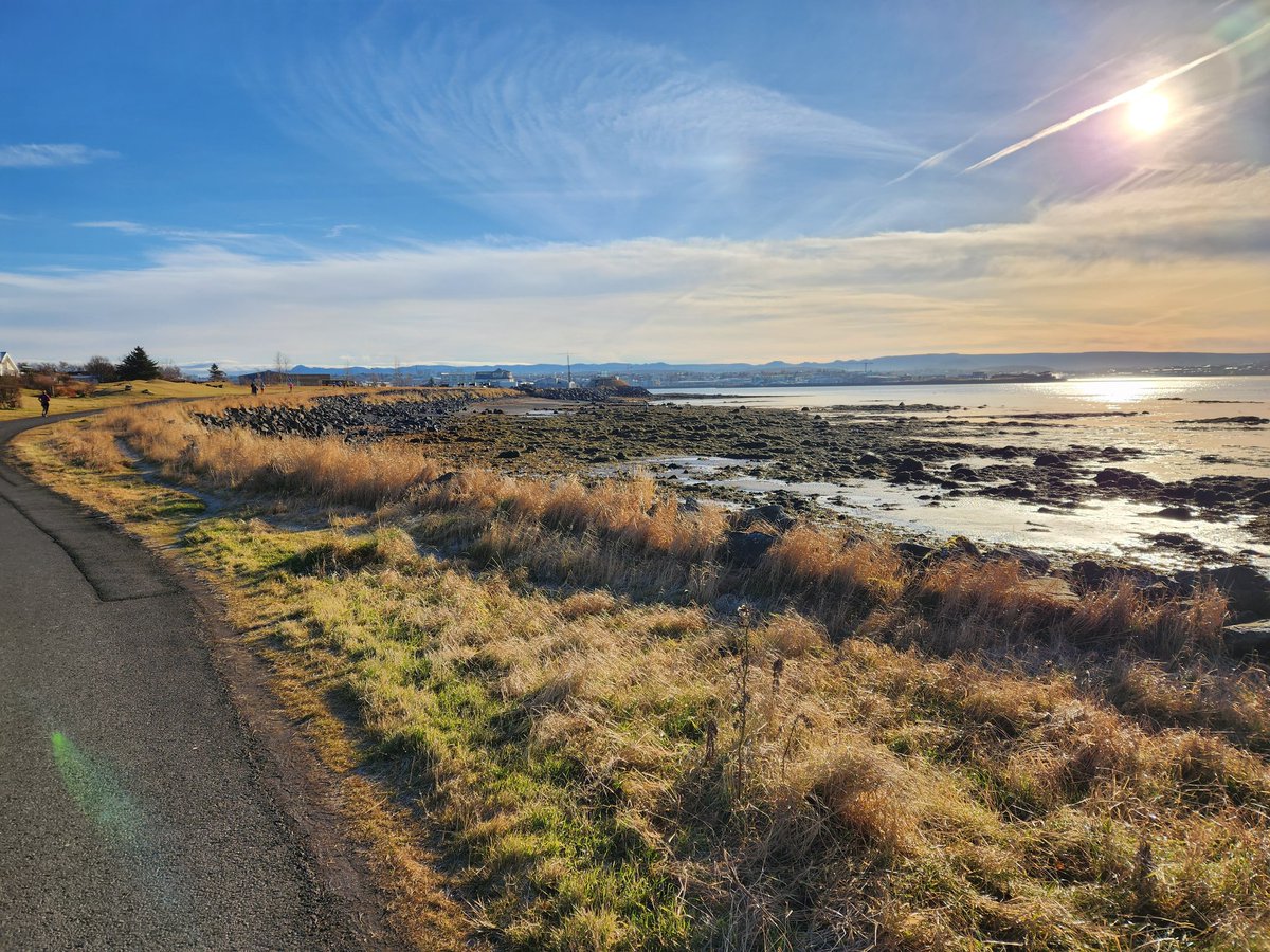 EdRubinstein's tweet image. Another long #run along the water...this one with a bit of a twist.
@LrTomat @GainforthAbby @sarallana @ChrisBenedetti