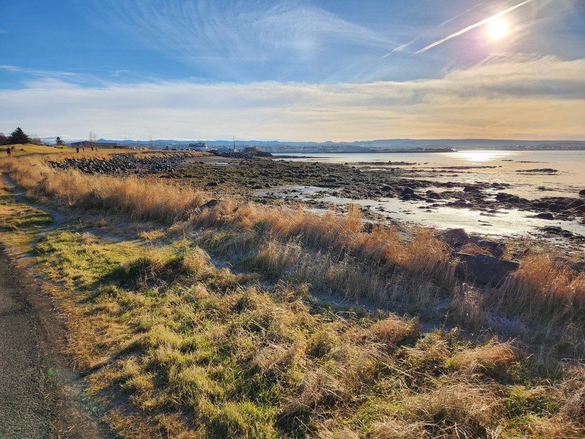 EdRubinstein's tweet image. Another long #run along the water...this one with a bit of a twist.
@LrTomat @GainforthAbby @sarallana @ChrisBenedetti