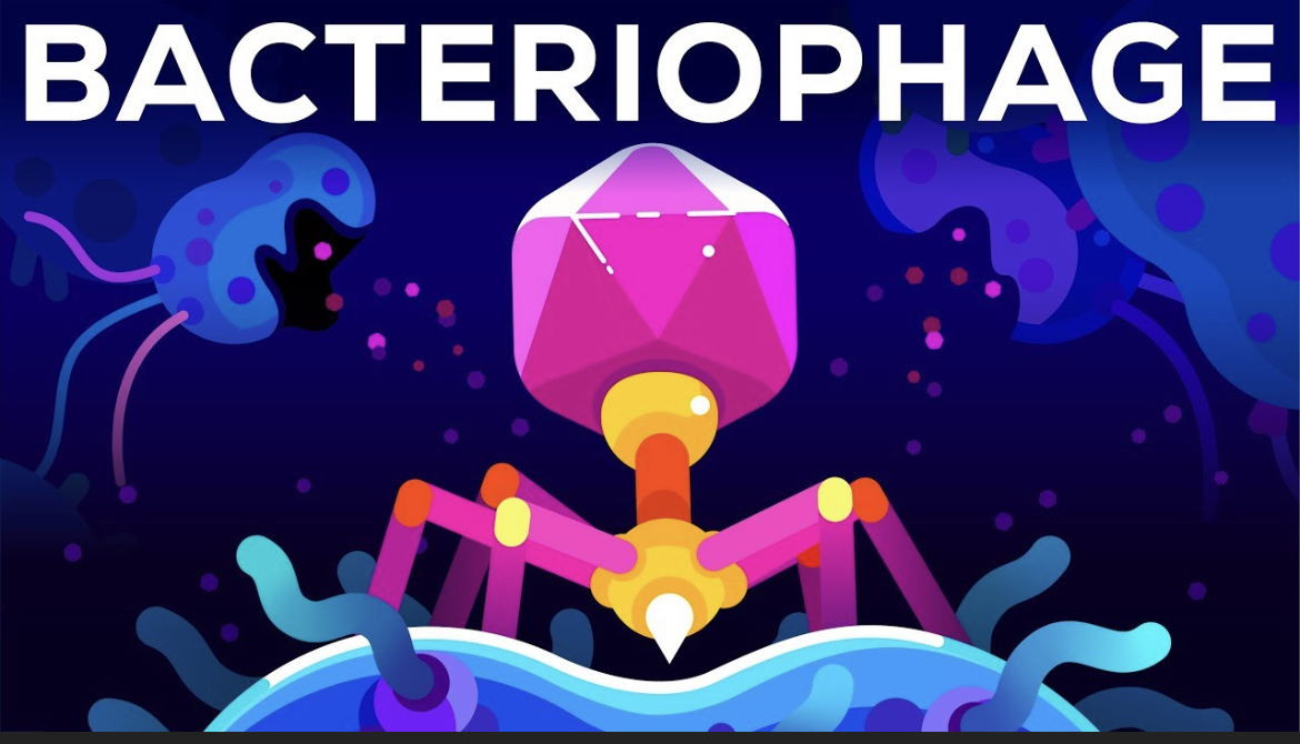 Cytophage Technologies Ltd. tweet media