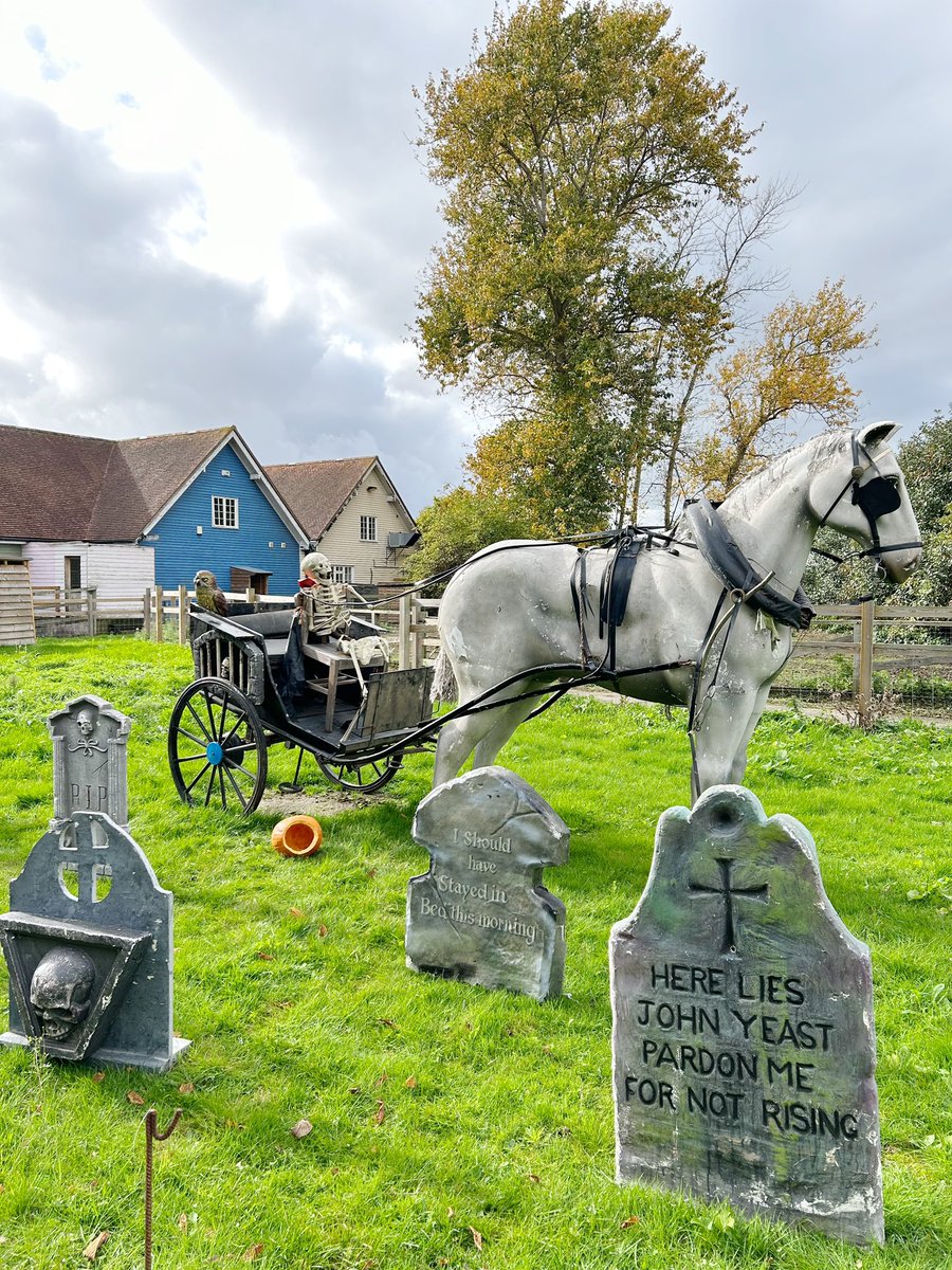 loreleimarfil's tweet photo. Halloween half-term fun at the @Hopfarm ☀️🌳🐴 https://t.co/jQDZbeOFAY