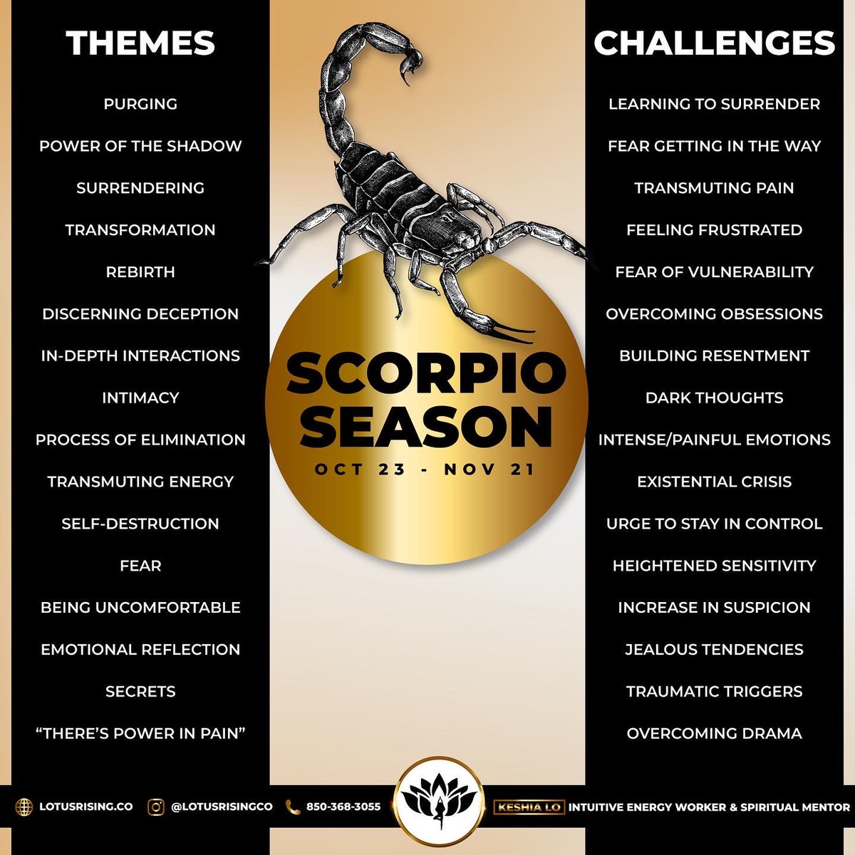 lotusrisingco_'s tweet photo. The Sun enters the sign of Scorpio tomorrow morning 🦂— If you’ve been feeling “off” or experiencing a shift in energy that feels overwhelming and frustrating… you’re not alone!

https://t.co/DjSIj4kRJA https://t.co/wQekZP32ve