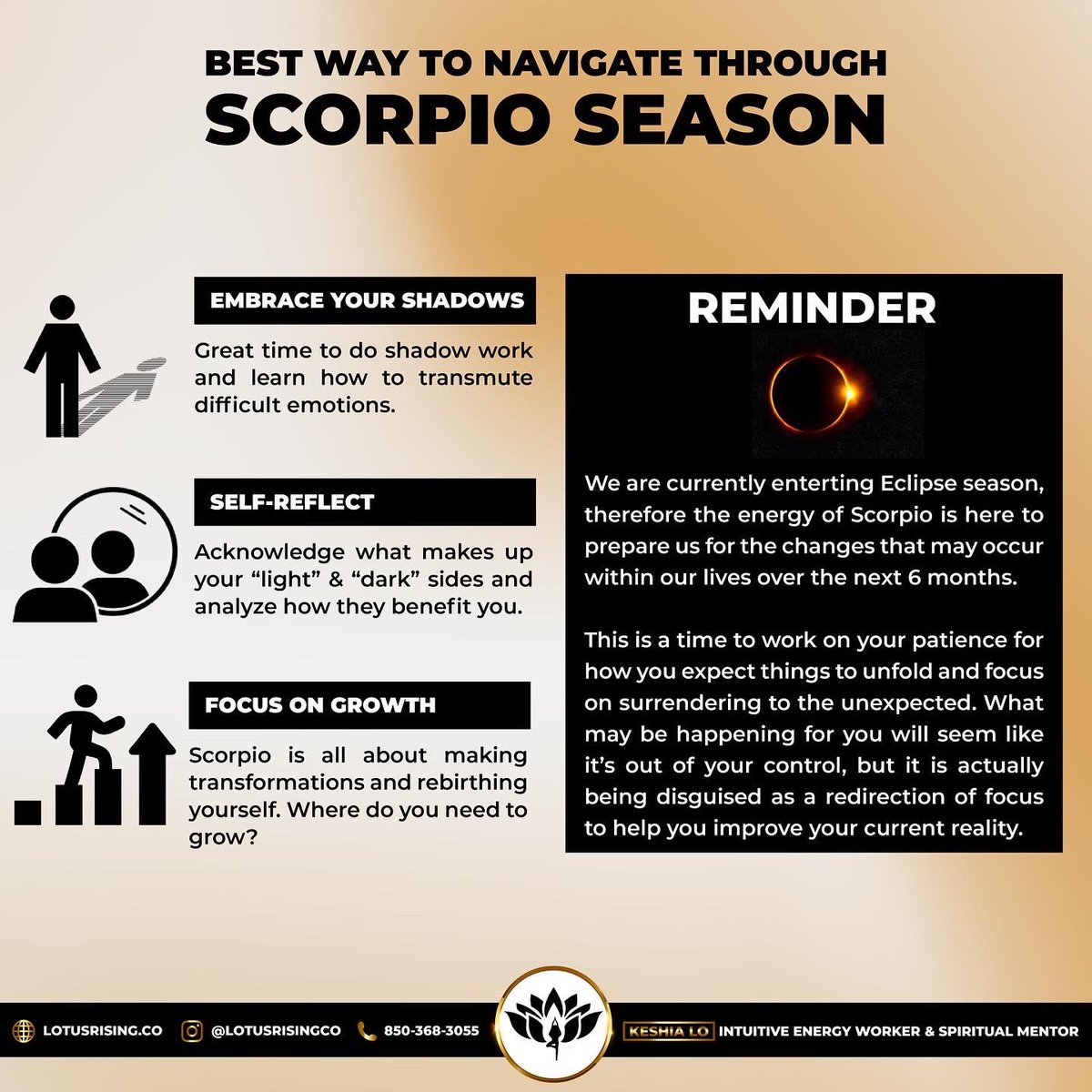 lotusrisingco_'s tweet photo. The Sun enters the sign of Scorpio tomorrow morning 🦂— If you’ve been feeling “off” or experiencing a shift in energy that feels overwhelming and frustrating… you’re not alone!

https://t.co/DjSIj4kRJA https://t.co/wQekZP32ve
