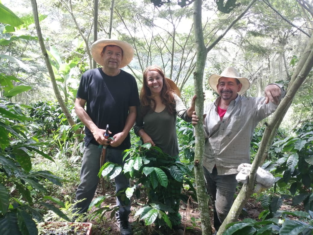 Floridamangos's tweet photo. Barichara, one of the country’s most beautiful and best-preserved heritage towns in Colombia. Just few minutes from town Lyndon Carvajal a forestry expert is growing coffee in the middle of a dry tropical forest preserving native species and birds. #coffee #colombia https://t.co/JxI8hOJf99