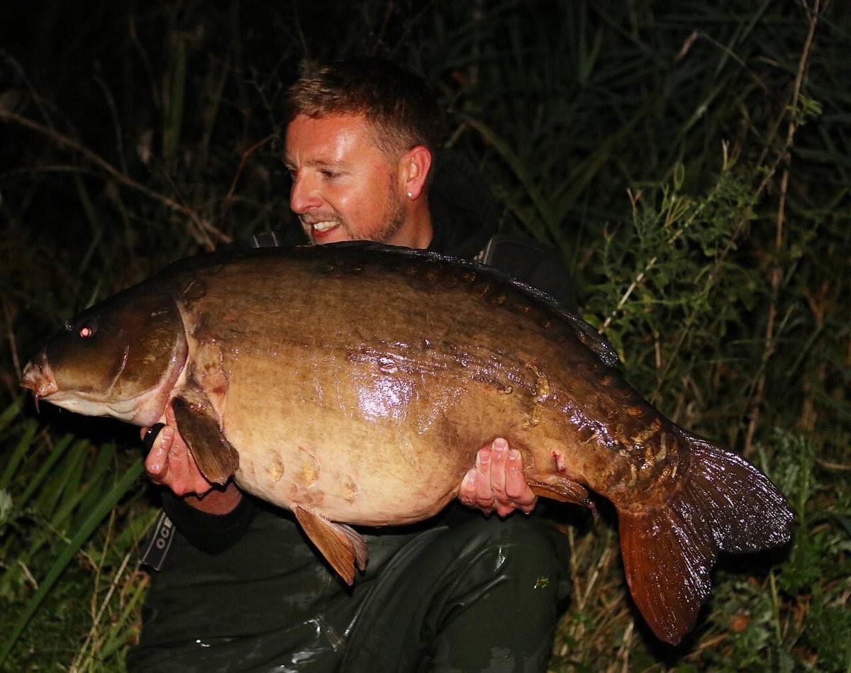 CarbonBaits's tweet photo. 💥If you know, you know.💥⁠
⁠
One from the weekend down on the Cambridgeshire syndicate, a 37lb 12oz mirror caught over a full bucket of the chilli co2 mix along with a mixture of DNA boilies and liquids. ⁠
⁠
Special fish right there Dave, huge congratulations. 🔥🔥⁠ https://t.co/RxlRqtOpPn
