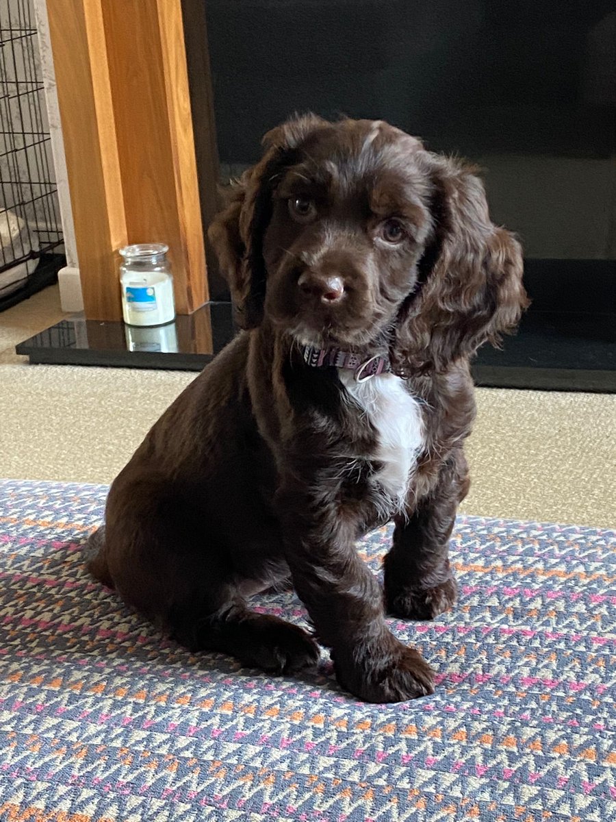 Such a cutie 🥰 especially when she’s not biting 🤦‍♀️