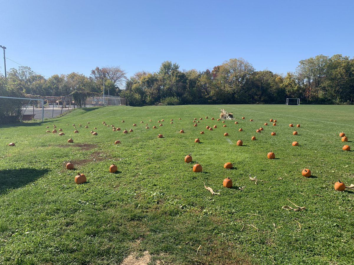 JennyCasebolt's tweet photo. A gorgeous day for the Transportation Department’s first Fall Fest. We have fun and free activities and refreshments until 4:00 today! @BethlehemAreaSD @BASDSUPT @basdjacksilva @basdfacman https://t.co/yQwf3moSqy