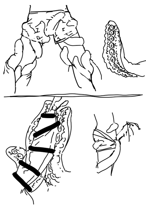 久々にこんなのを描いています 