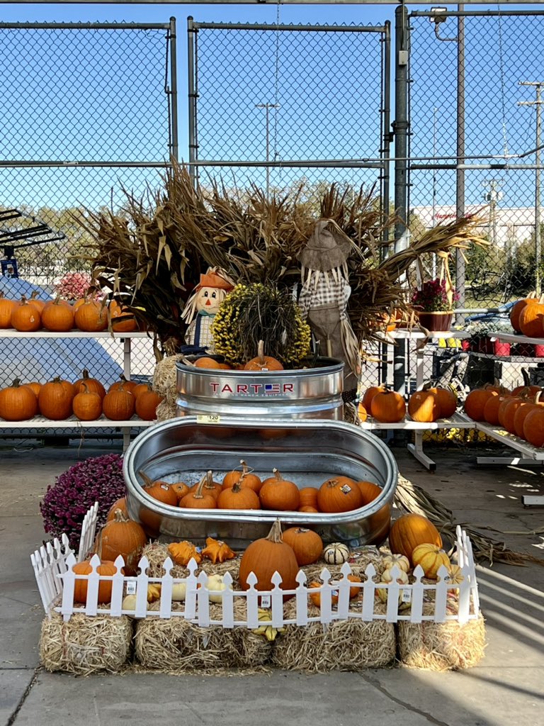 Danielatlowes's tweet photo. What a gourd-geous day for games, activities and candy at store 447! @BenitoKomadina @som2to @BrianTickle447 @BlueBoxR1 @sarver_bruce https://t.co/epazRnl464