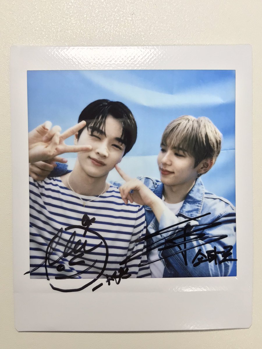 성타로 • open dm tweet media