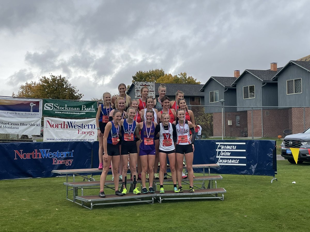 Frank Gogola tweet media