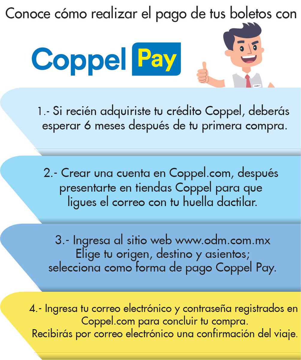 Omnibus_oficial's tweet photo. ¡Realiza tu pago de forma segura con #CoppelPay! 😀👍

Te mostramos cómo realizar el pago de tus boletos:
✅Recuerda primero ingresar a https://t.co/xU74MV5HgU para crear tu cuenta.
✅Compra tus boletos en https://t.co/0hjDcgGEcD https://t.co/JvQ8e0PScr