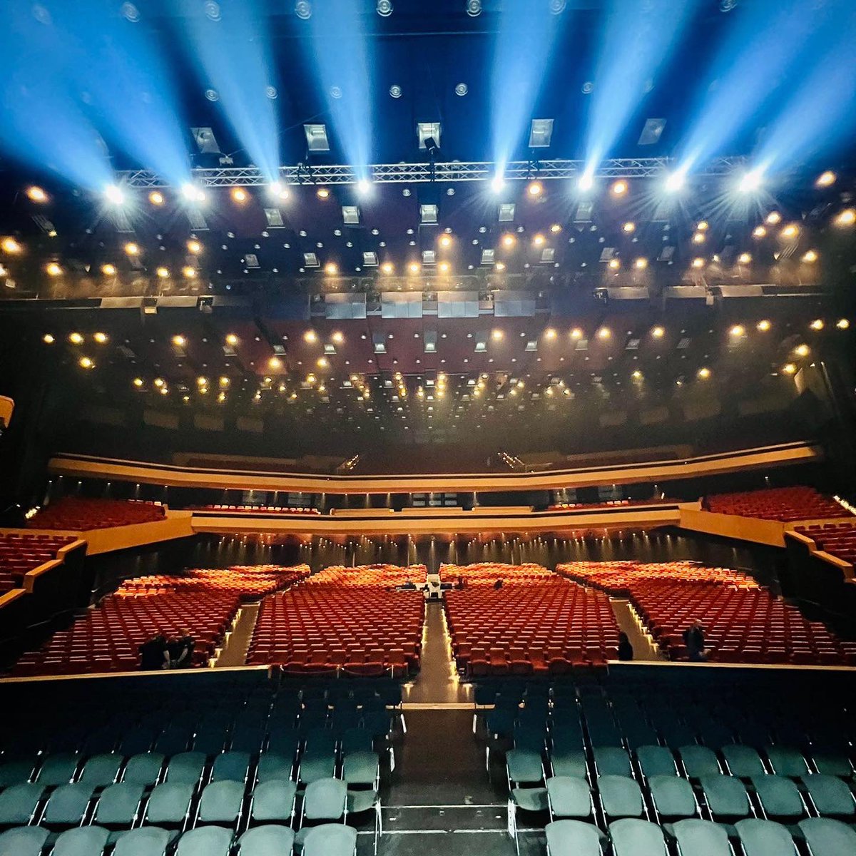 ildivoofficial tweet picture