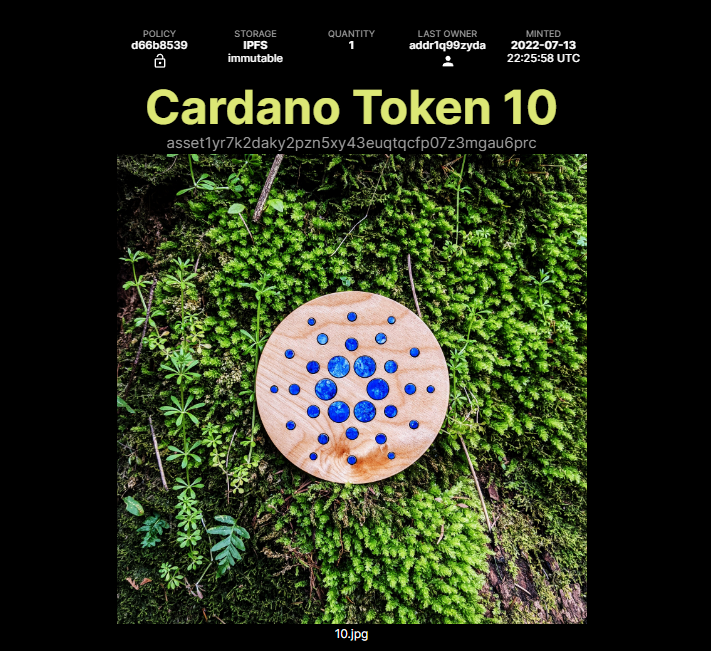 A big thank you to <a href="/pool_pm/">pool.pm</a> for creating a great metadata viewer for #Cardano. These physical-digital NFT tokens I've created link to Pool.pm as an easy way to  view ownership and licensing information.