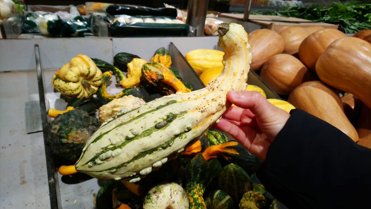 Doğa, mühendisliğe ilham veriyor.