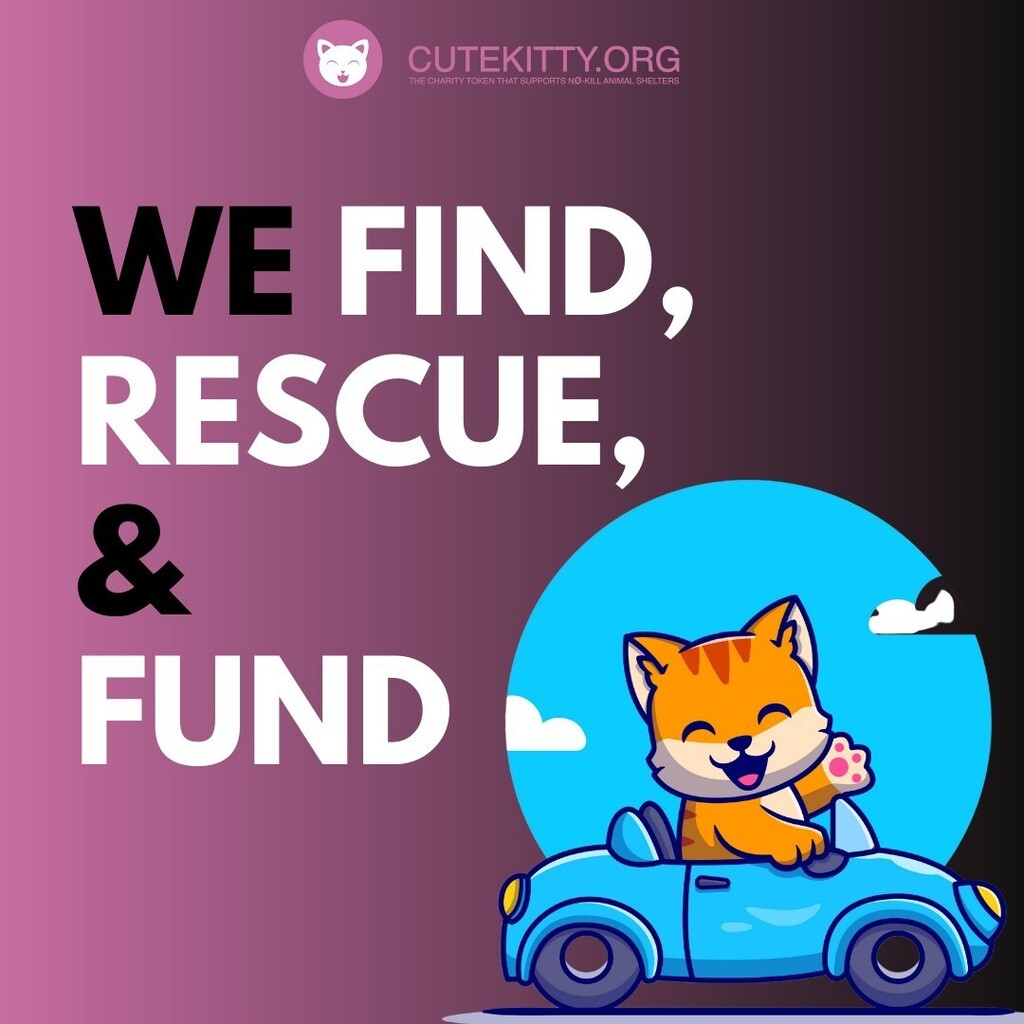 cutekittyorg's tweet photo. Do it for the innocent souls. Rescue the needy
.
.
.
.
.
.
#helpcat #catsonly #catsforever #catsforlife #catloversworld #catsarethebest #catsworld #catloversworld #cryptocurrencytrade #cryptocurrencyinvesting #cryptocurrencysolution #cryptocurrencyrevolu… https://t.co/Keye7Vqdx6 https://t.co/IG4WiRPZpa