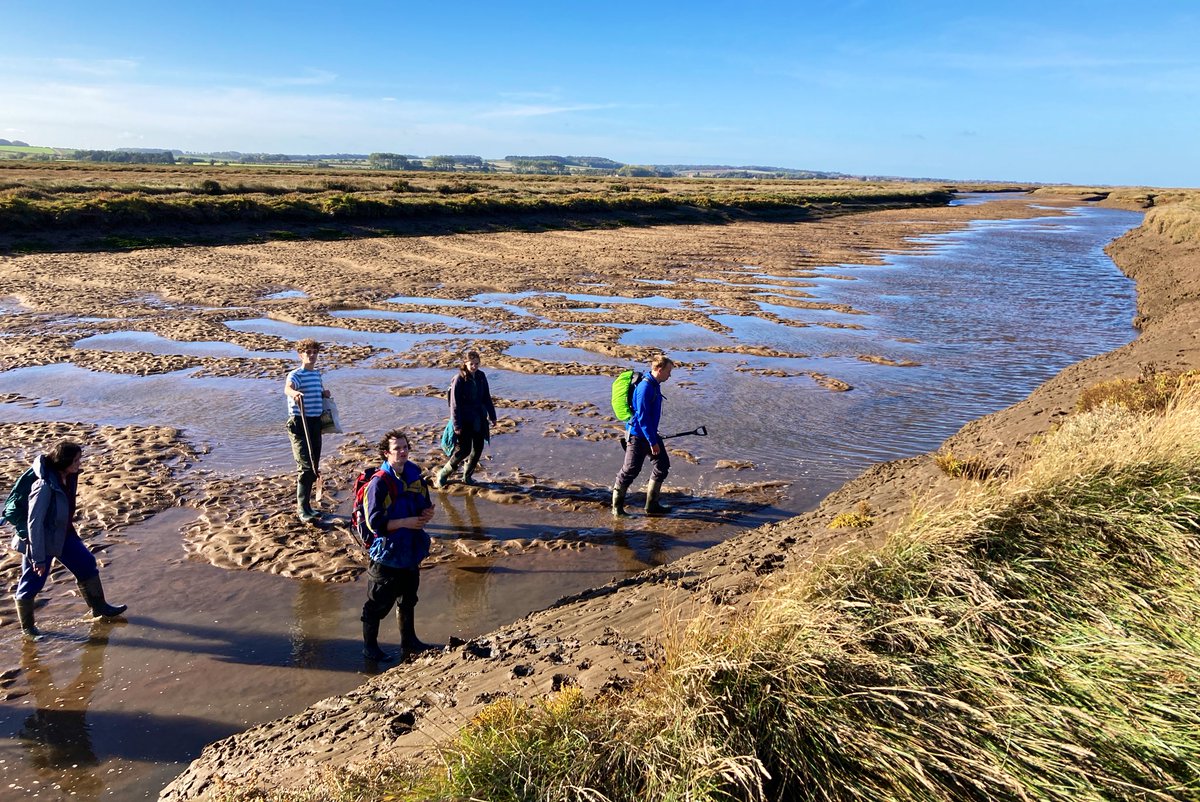 Muckin’ round a salt marsh. V nice tidal dunes in a tidal channel 👀