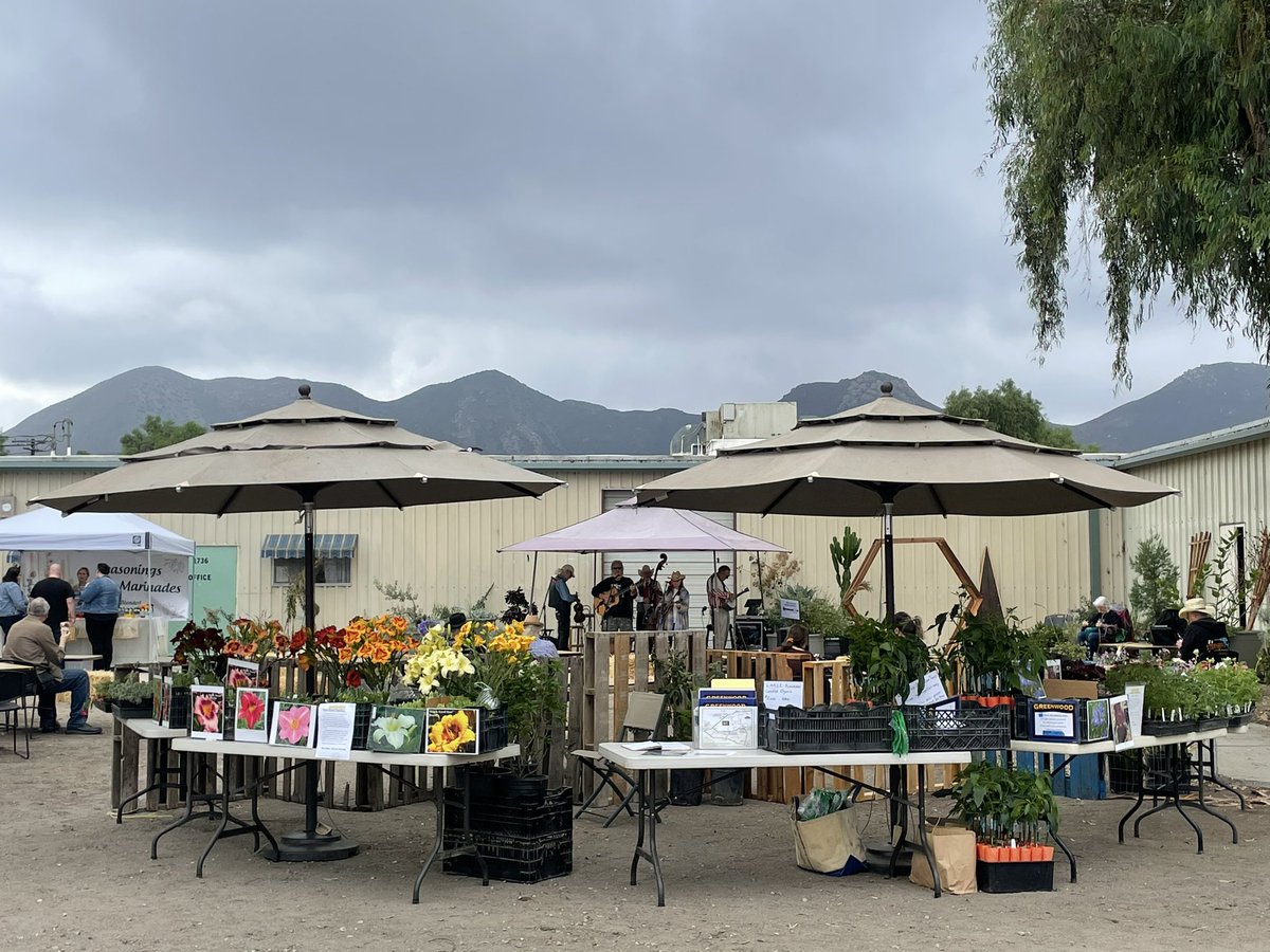 Growing Works is holding a fall festival today. The Camarillo native plant nursery is run and staffed by Turning Point, a nonprofit that provides shelter, supported housing and rehabilitation programs for adults struggling with mental illness and veterans, many of them homeless.