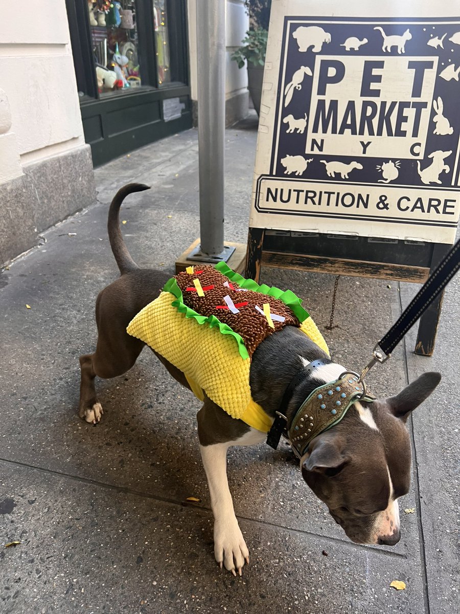 manudquebrada's tweet photo. taco bella shell https://t.co/d7KvQQ464V