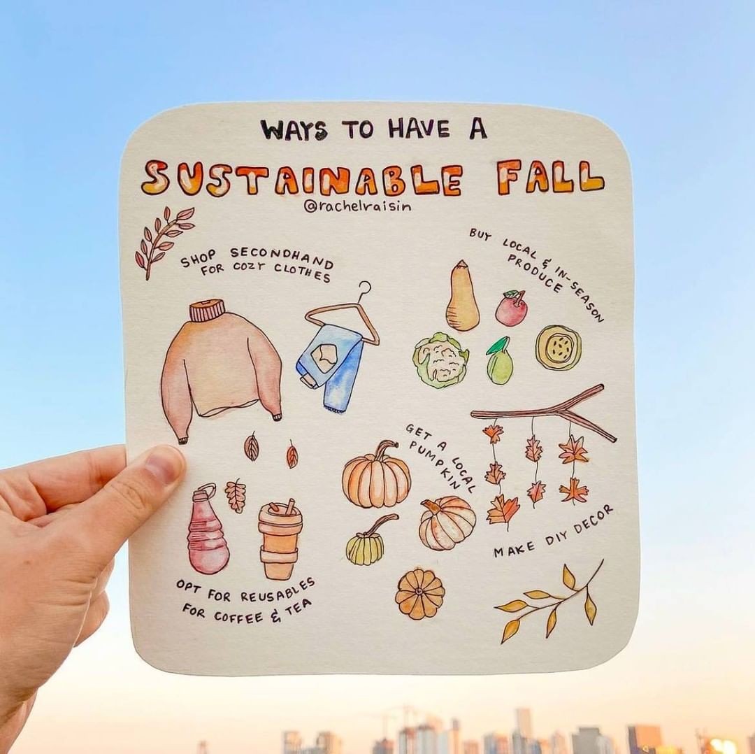 DaisyChainSanct's tweet photo. Some fabulous tips for a sustainable autumn 🧡🍂

Beautiful art by @rachelraisin 🤎

Happy #sustainable𝕊𝕒𝕥𝕦𝕣𝕕𝕒𝕪𝕤 🌎
#autumn #fall #sustainablefall https://t.co/8julLo4NXB