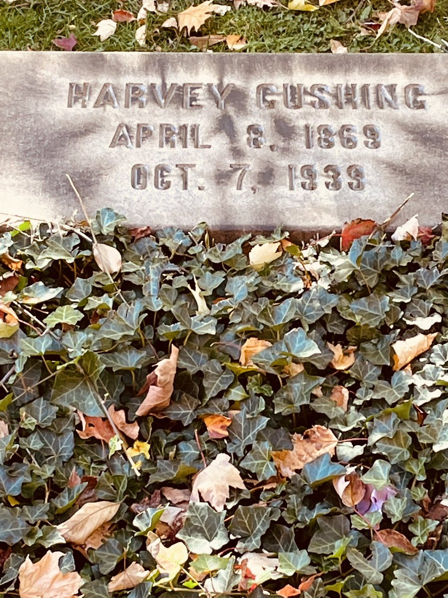 NimaSharifiMD's tweet photo. Did you know Harvey Cushing father of modern #neurosurgery is buried in #Cleveland? Found his grave today. Because what are Saturdays for? His name is on @YaleMed library &amp; brain collection in its basement but he’s here. For #steroid aficionados before Kendall there was Cushing. https://t.co/c929QDw7f4