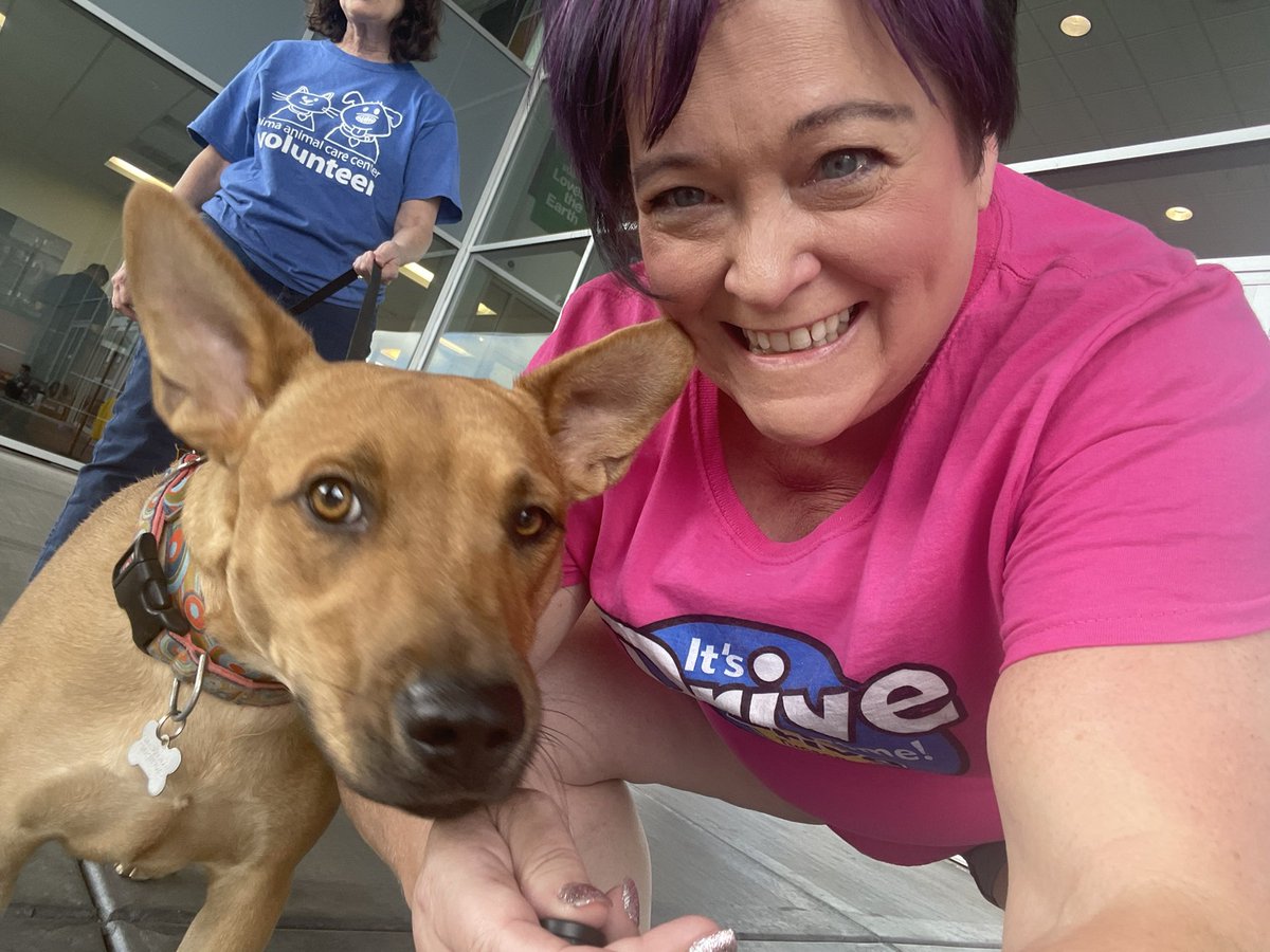 Radioleslie's tweet photo. I am at Tucson Subaru till 1 to help Make A Dog’s day! Come out and check out all the dogs and cats available for adoption from Pima Animal Care Center! On the southwest corner of Iracle and River! Plus free Mexican cuisine too! #Thedrivetucson #shelterpets #Tucson #PACC https://t.co/4f05wlkGI0