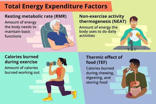 How Many Calories Do You Burn Every Day?
You should know how many calories you burn daily if you’re trying to lose weight. Learn ways to change your daily energy expenditure to lose weight verywellfit.com/how-many-calor…
#peachcityrunners  #electolytes #shoplocal #shoppenticton #okanagan