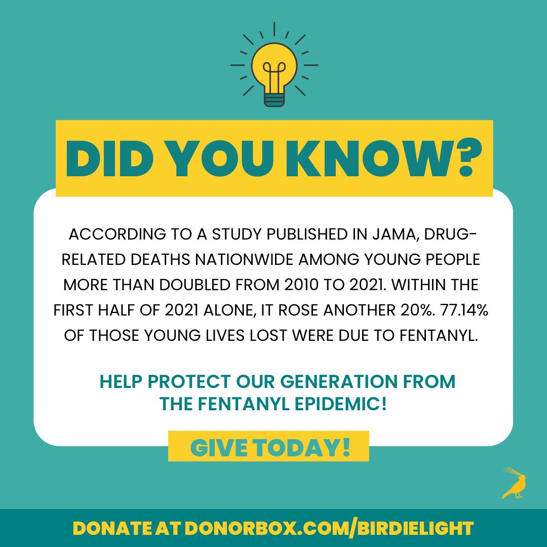 If you’re in you’re 20’s, join our initiative to end fentanyl poisonings in our generation today. For only $20 a month, you can help keep our peers safe and alive at donorbox.com/birdielight.