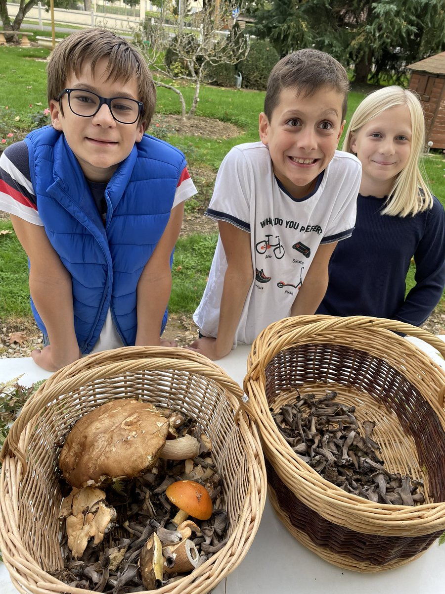 Une belle cueillette en famille cèpes oronges pieds de moutons et trompettes de la mort