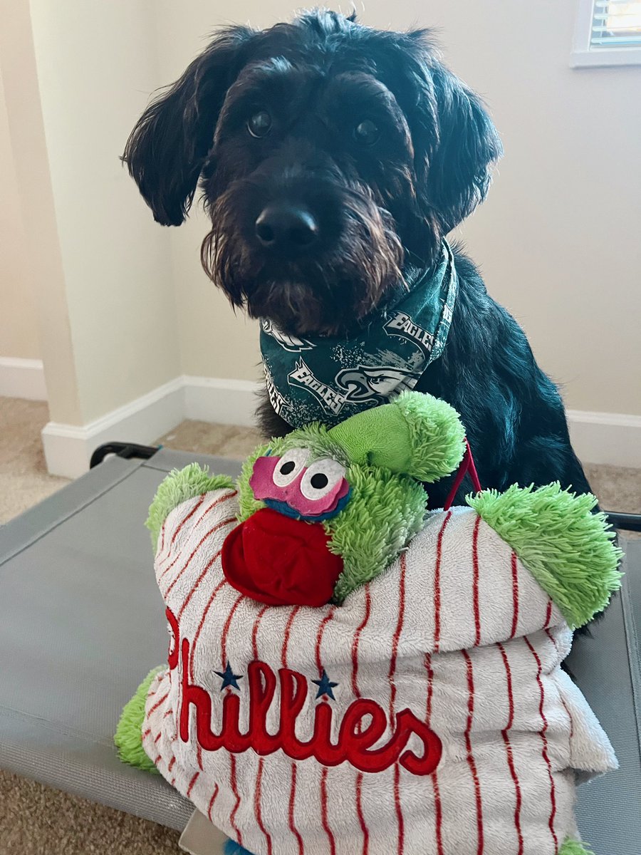 LKellzzz's tweet photo. Which Kelce did it better? ⚾️❤️💚@JClarkNBCS @JasonKelce @Phillies @Eagles https://t.co/D0Yci7Osc9