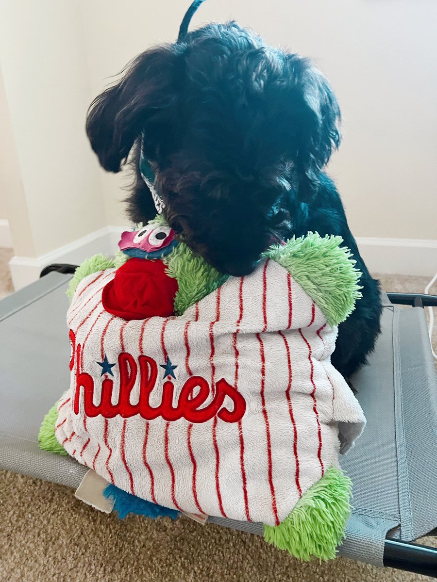 LKellzzz's tweet photo. Which Kelce did it better? ⚾️❤️💚@JClarkNBCS @JasonKelce @Phillies @Eagles https://t.co/D0Yci7Osc9