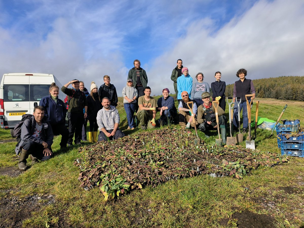 LynEvans2's tweet photo. @BridgendCollege Conservation Volunteers today teamed up with @INCCymru to restore marshy grassland at Caerlan Farm near Tonyrefail. We planted over 1400 Devil's Bit Scabious plugs, grown by @HBridgend from seed harvested less than 10 kilometres away. A very exciting project. https://t.co/NW91yv3MtG