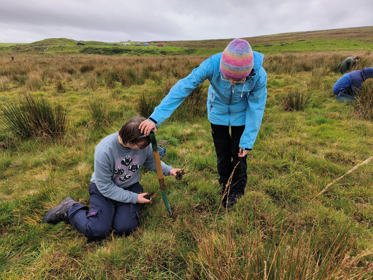LynEvans2's tweet photo. @BridgendCollege Conservation Volunteers today teamed up with @INCCymru to restore marshy grassland at Caerlan Farm near Tonyrefail. We planted over 1400 Devil's Bit Scabious plugs, grown by @HBridgend from seed harvested less than 10 kilometres away. A very exciting project. https://t.co/NW91yv3MtG