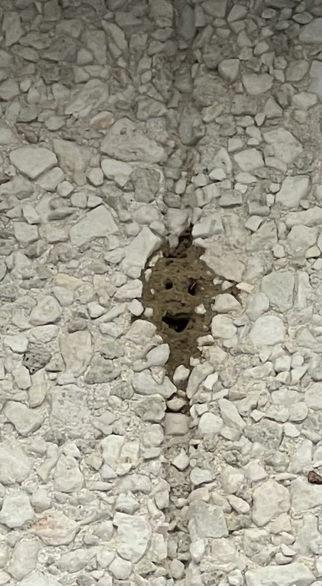 StadleyRough's tweet photo. Do you see it?
👀 spy a face on the wall of STR 😂 #STRfun https://t.co/1SBjYO2Ngy