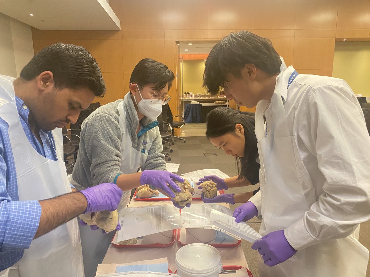 Hands on session: AMAZING! ⁦@ACCinTouch⁩