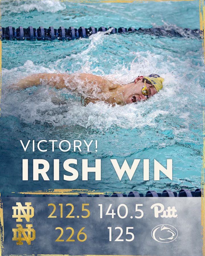 NDSwimDive tweet picture