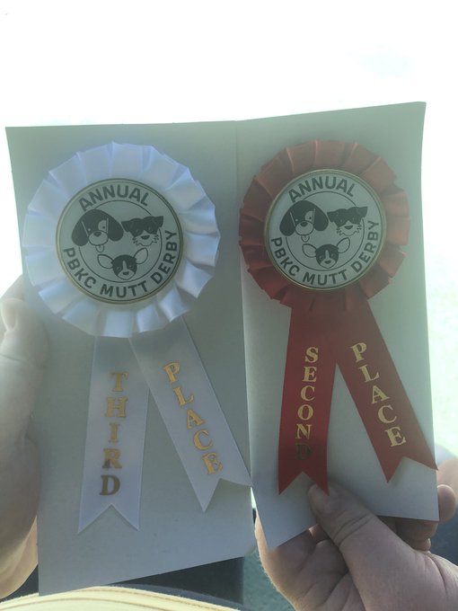 You better believe my girl took home a ribbon https://t.co/ouXfdv0V5W