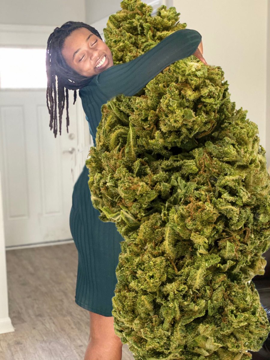 GROWF 🌿 tweet media