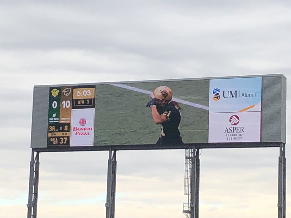 Dianne Zuk tweet media