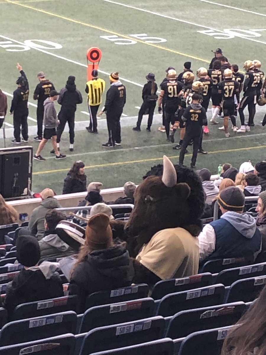 Dianne Zuk tweet media